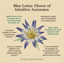 Load image into Gallery viewer, Blue Lotus Flowers