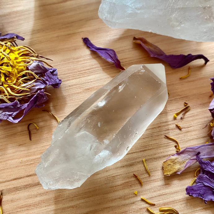 Lemurian Seed Crystal (Intuitively Selected)