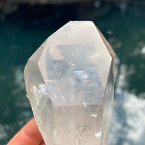 Lemurian Seed Crystal - Divine Feminine Window Quartz