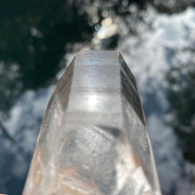 Charger l&#39;image dans la galerie, Lemurian Seed Crystal (Strong Yang Energy)